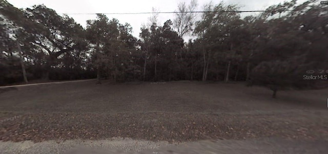 Stacy Grove Rd, Oak Hill, FL 32759 - photo 2