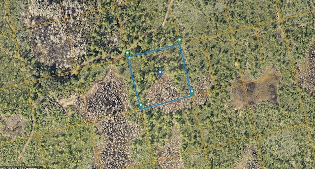 County Line Ditch Rd, Oak Hill FL, 32759 land for sale