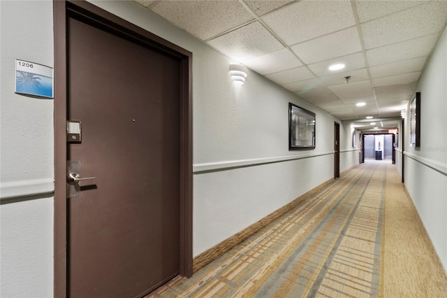 corridor featuring carpet floors and a paneled ceiling