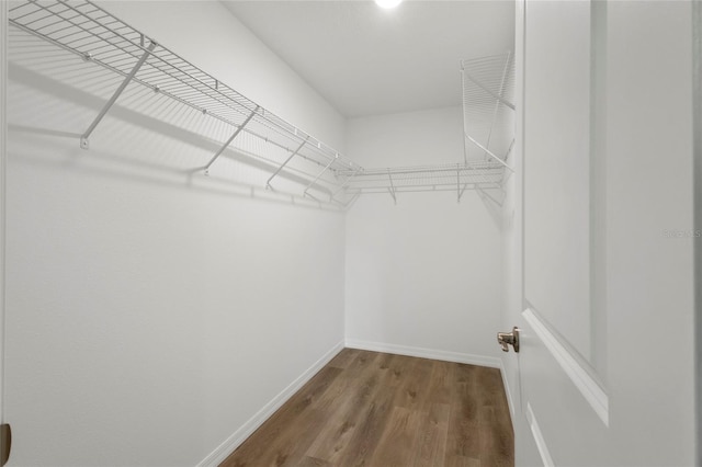 spacious closet featuring hardwood / wood-style flooring