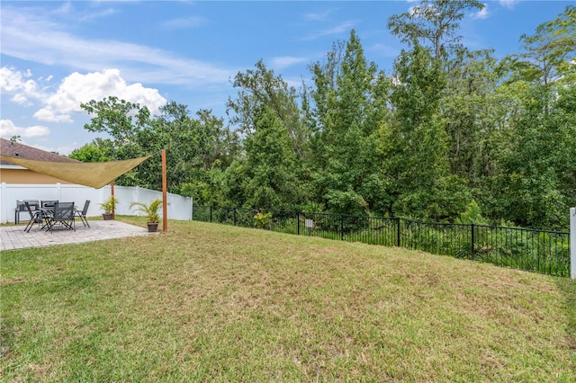 view of yard featuring a patio