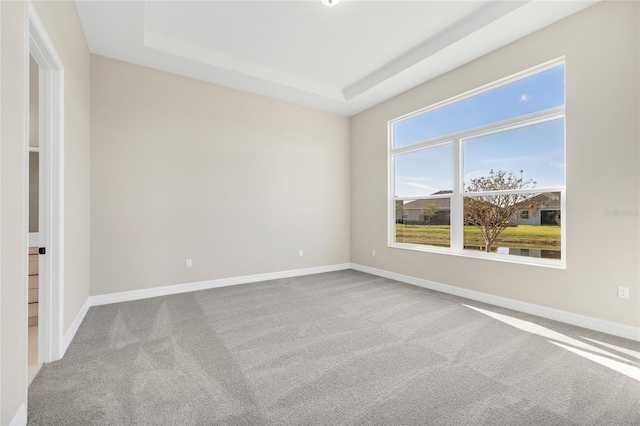 empty room with carpet and a raised ceiling