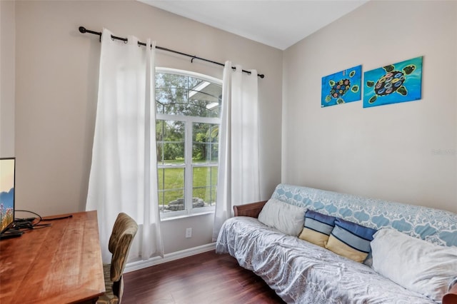 bedroom with multiple windows and dark wood-type flooring