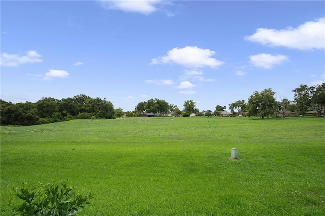 view of yard with a rural view