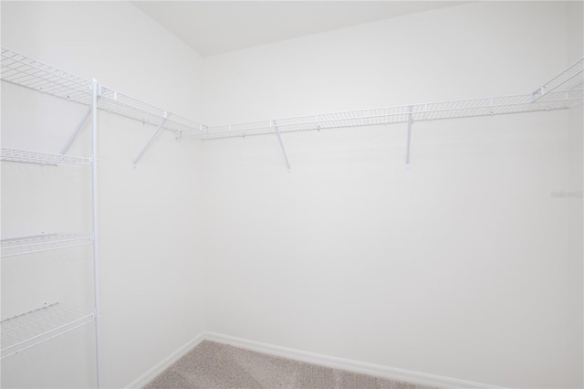 16847 SW 47th Ave, Ocala, FL 34473 - photo 20