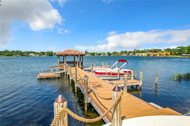 dock area with a water view