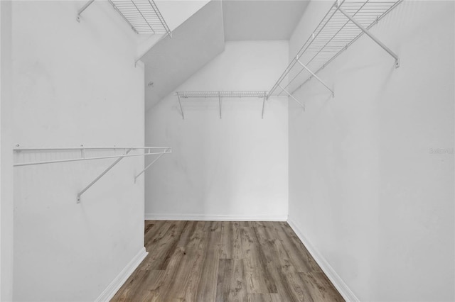 walk in closet featuring hardwood / wood-style flooring