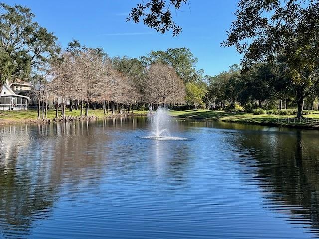 water view