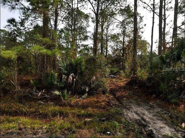 Starfish Ave, North Port, FL 34291