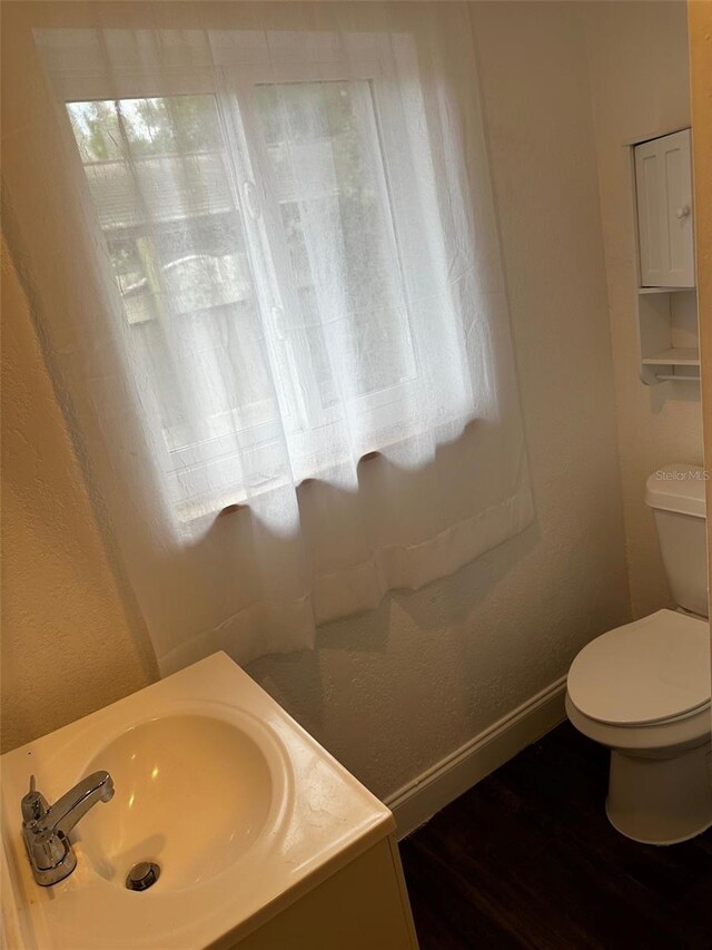 bathroom featuring toilet, vanity, and wood-type flooring