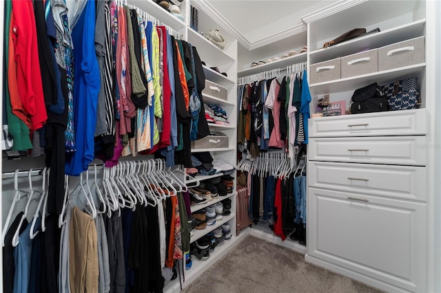 view of spacious closet