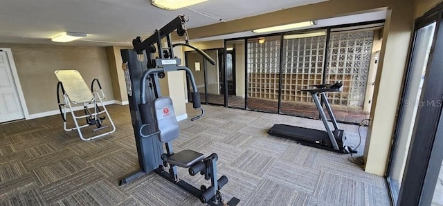 workout area featuring carpet floors