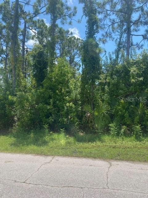 11997 Newgate Ave, Port Charlotte FL, 33981 land for sale