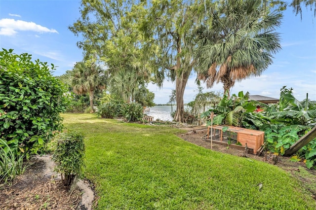279 Rippling Ln, Winter Park, FL 32789 - view of grassy yard with a water view