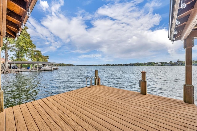 dock area with a water view