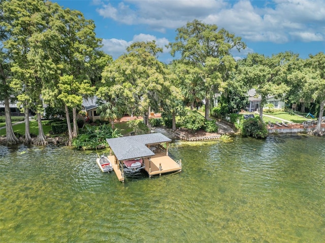 dock area with a water view