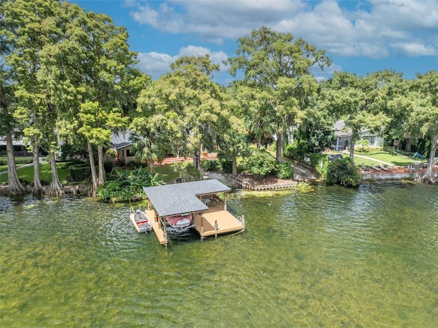 279 Rippling Ln, Winter Park, FL 32789 - dock area featuring a water view and boat lift