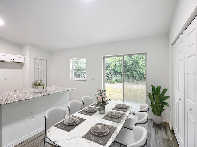 dining space featuring hardwood / wood-style flooring