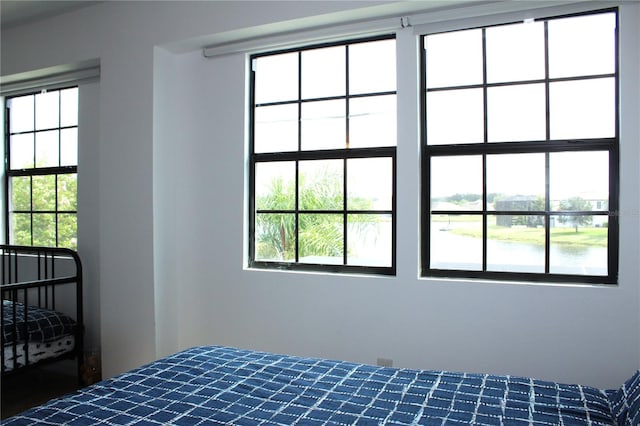 bedroom featuring multiple windows