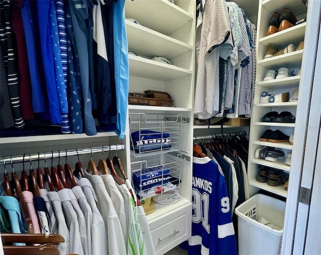 view of spacious closet