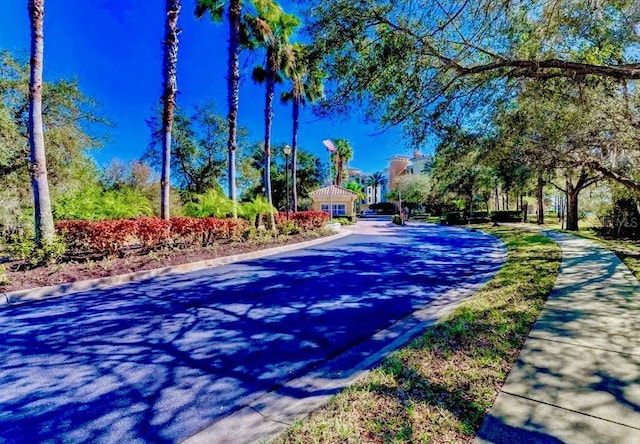 view of street with curbs and sidewalks