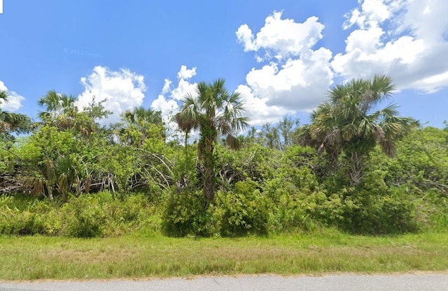 13589 Wainwright Dr, Port Charlotte, FL 33953