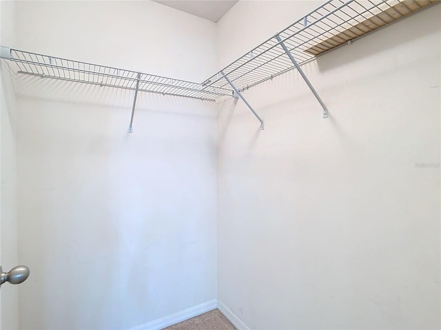 view of walk in closet