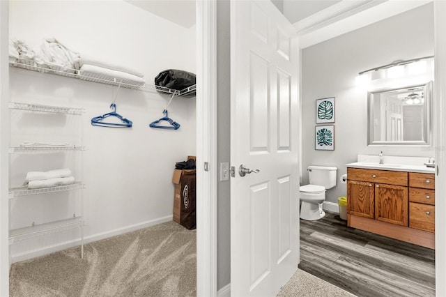 walk in closet featuring sink and dark hardwood / wood-style flooring