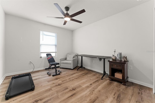 exercise area featuring ceiling fan and light hardwood / wood-style flooring