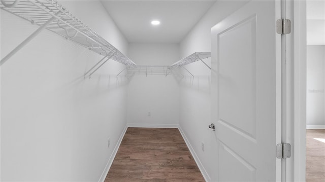 walk in closet with wood finished floors