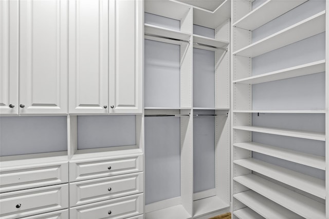 view of spacious closet