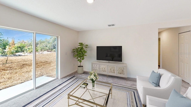 living room with carpet flooring and a textured ceiling