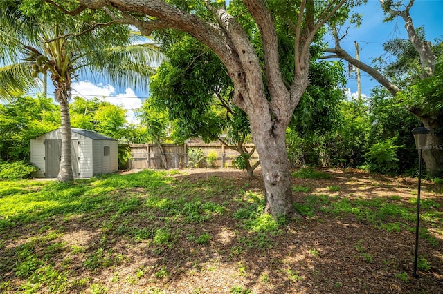 view of yard with a shed