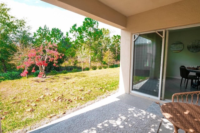 view of yard featuring a patio area