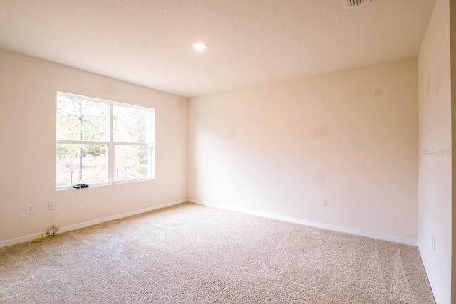 empty room featuring carpet floors