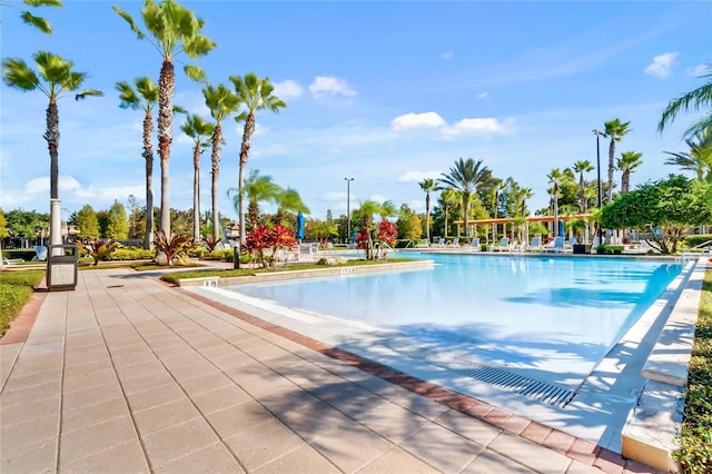 view of swimming pool featuring a patio area