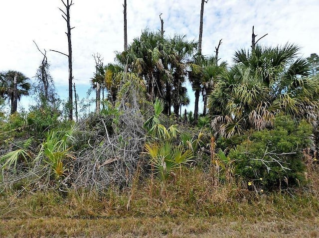 Ewen Dr, North Port, FL 34288