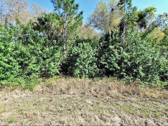 Nome Ave, North Port, FL 34288