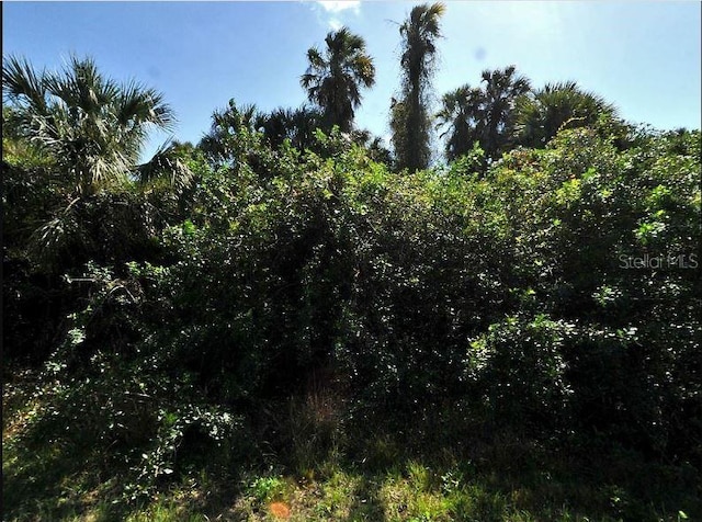 Newman Dr, North Port, FL 34288 - photo 2