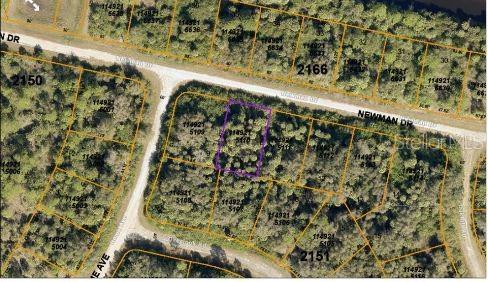 Newman Dr, North Port, FL 34288 - photo 4
