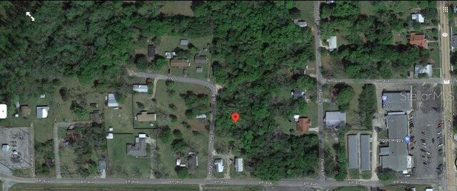 810 King St, Graceville, FL 32440 - photo 5