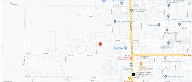 810 King St, Graceville, FL 32440 - photo 6