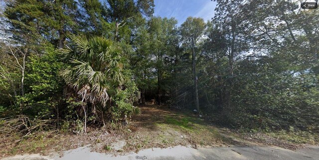 810 King St, Graceville, FL 32440 - photo 8