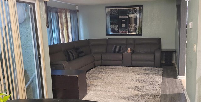 living room featuring hardwood / wood-style floors