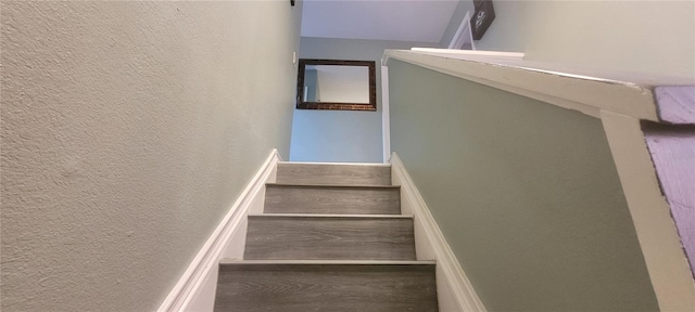 staircase with dark hardwood / wood-style floors