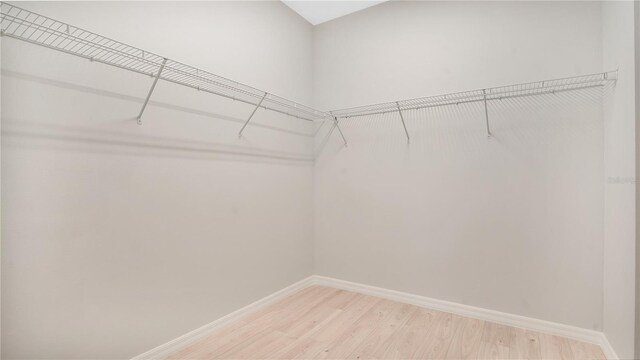 walk in closet featuring light wood-type flooring