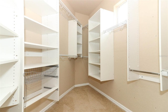 walk in closet with light carpet