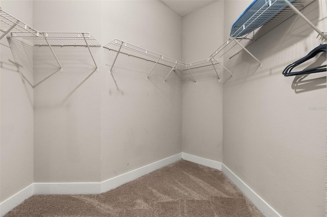 spacious closet with carpet