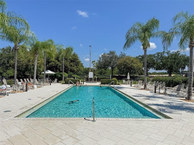 view of swimming pool with a patio