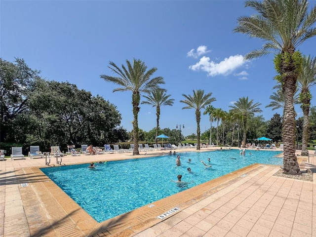 view of swimming pool with a patio area